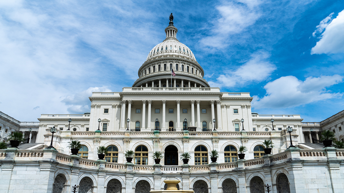 U.S. Capitol Steps in summer